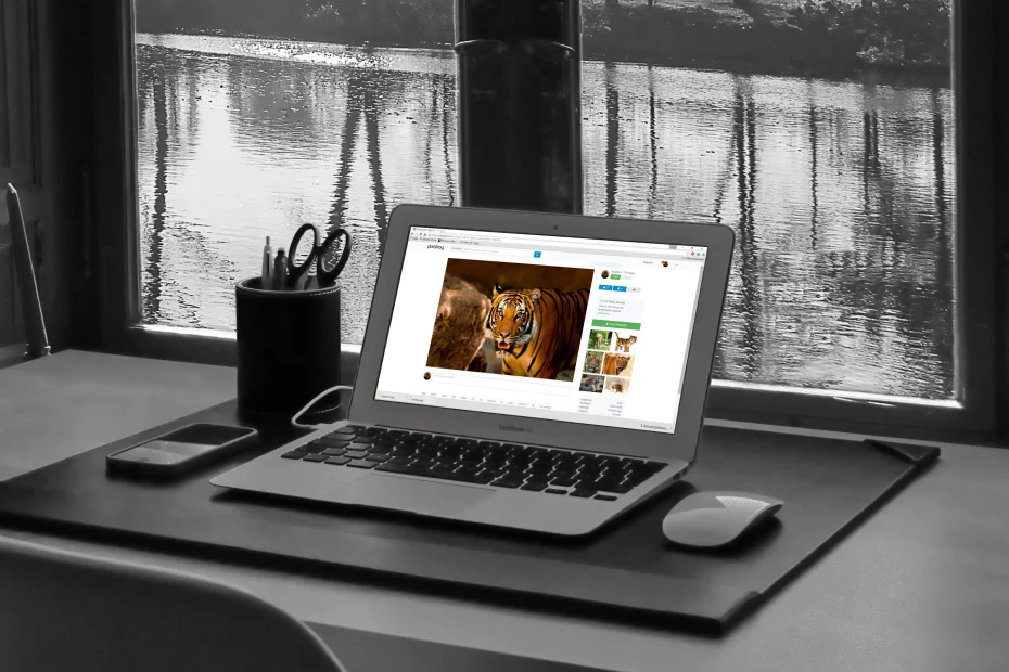 Crea un Sito Perfetto Borgo Pio