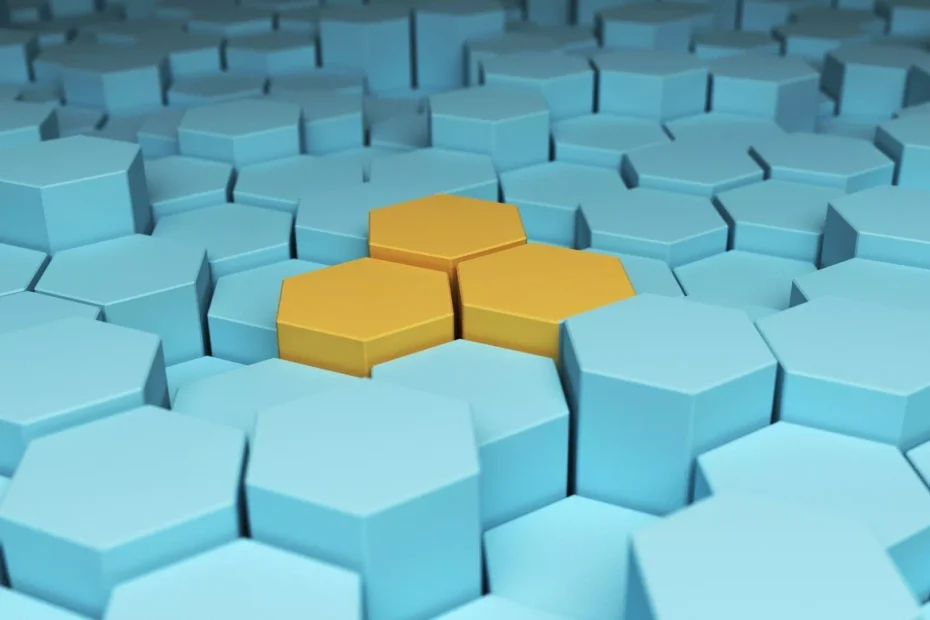 Crea un Sito Perfetto Castel Porziano